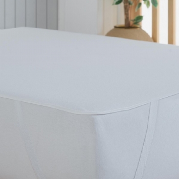 Erland Liquid Proof Mattress Protector Mattress